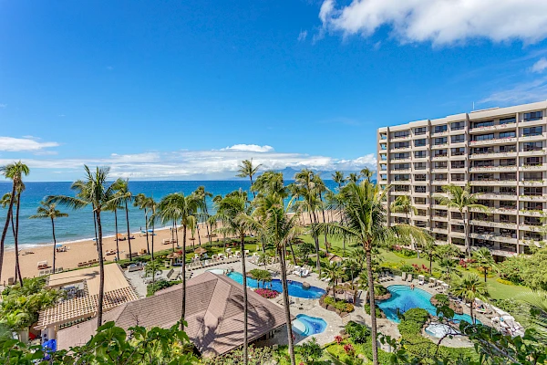 A stunning beachfront resort with palm trees, pools, and a high-rise building set against a clear blue sky and ocean backdrop.